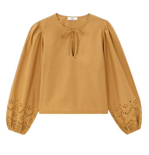 https://accessoiresmodes.com//storage/photos/2339/CAMAIEU/blouse_marron1.png
