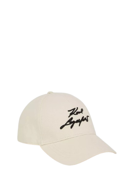 https://accessoiresmodes.com//storage/photos/2339/CASQUETTES/shopper1.png