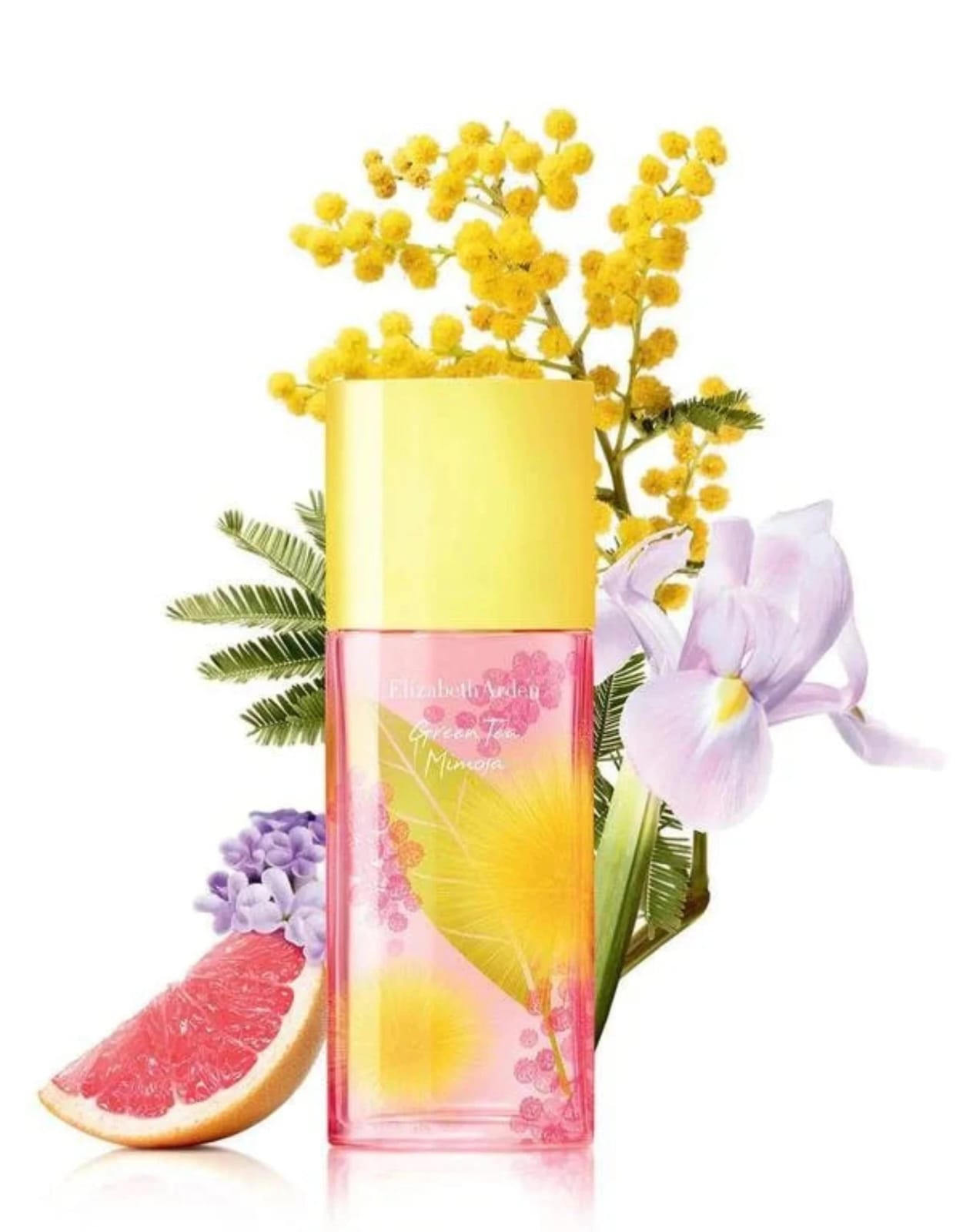 https://accessoiresmodes.com//storage/photos/2339/PARFUMS/mimosa1.jpeg