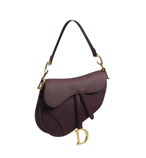 https://accessoiresmodes.com//storage/photos/360/DIOR/Saddle_-.png