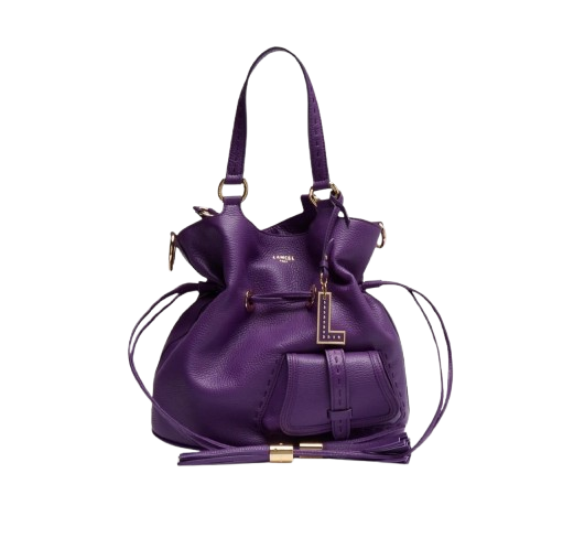 https://accessoiresmodes.com//storage/photos/360/LANCEL/FIGUE.png