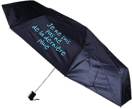 https://accessoiresmodes.com//storage/photos/360/PARAPLUIE/Entre_temps_1.png