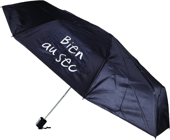 https://accessoiresmodes.com//storage/photos/360/PARAPLUIE/Entre_temps_2.png