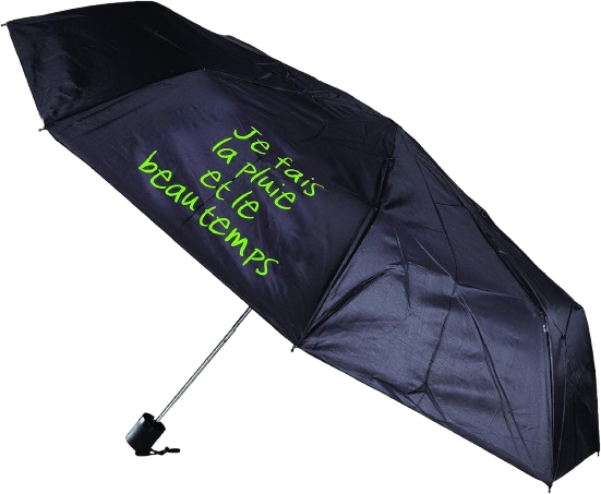 https://accessoiresmodes.com//storage/photos/360/PARAPLUIE/Entre_temps_3.png