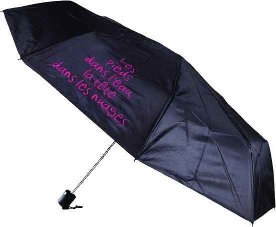 https://accessoiresmodes.com//storage/photos/360/PARAPLUIE/Entre_temps_4.png